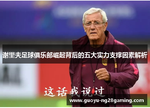 谢里夫足球俱乐部崛起背后的五大实力支撑因素解析 谢里夫足球俱乐部崛起背后的五大实力支撑因素解析