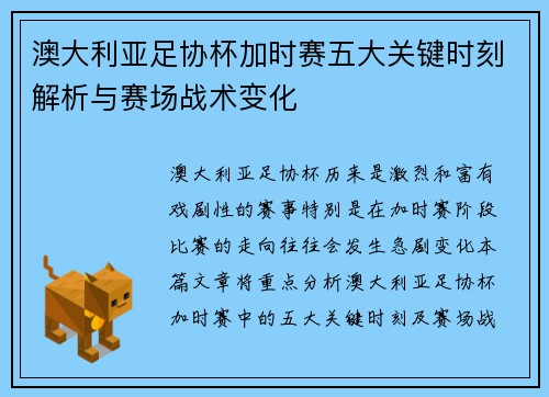 澳大利亚足协杯加时赛五大关键时刻解析与赛场战术变化