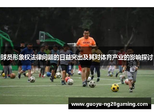 球员形象权法律问题的日益突出及其对体育产业的影响探讨