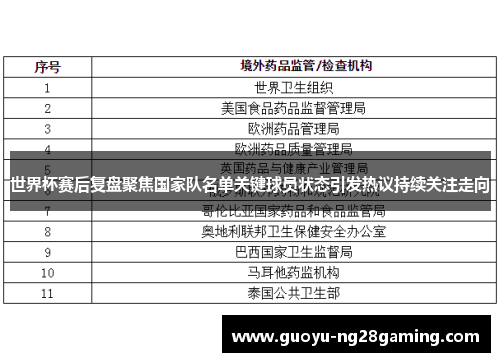 世界杯赛后复盘聚焦国家队名单关键球员状态引发热议持续关注走向 世界杯赛后复盘聚焦国家队名单关键球员状态引发热议持续关注走向