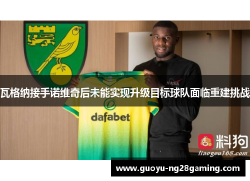 瓦格纳接手诺维奇后未能实现升级目标球队面临重建挑战